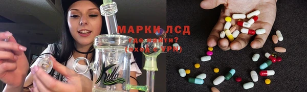 ГАЛЛЮЦИНОГЕННЫЕ ГРИБЫ Дедовск