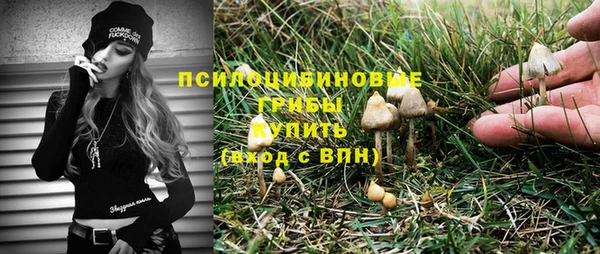 2c-b Россошь