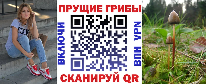 Псилоцибиновые грибы мицелий  Купить где  Губкинский 